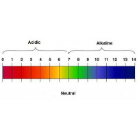 Acids and Bases