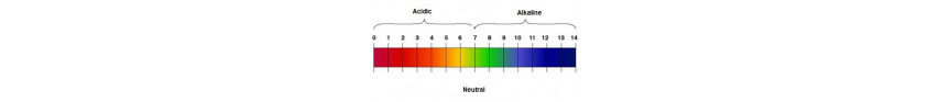 Acids and Bases