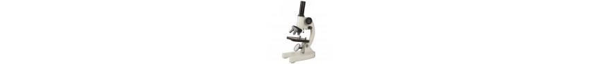 Microscope