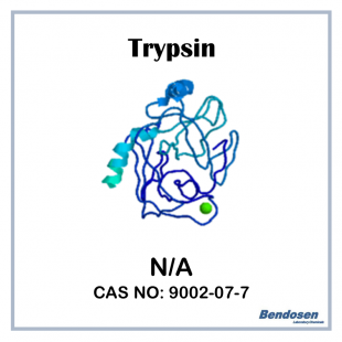 Trypsin (Pancrease Protease), 90 uLmg, LR, 50 gm, Bendosen