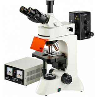 Upright Fluorescence Microscope, LW300LFT