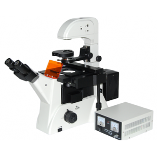 Infinity Inverted Fluorescence Microscope, LWD300-38LFT 