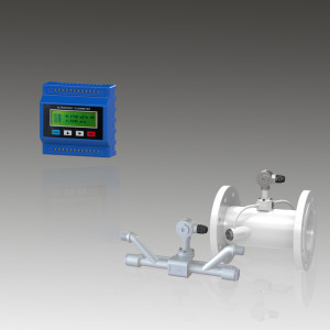 Module Inline Type Ultrasonic Flow-Meter, TUF-2000M, TSONIC