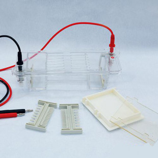 Agarose Electrophoresis (small), Buffer Volume: 260ml, Comb Thickness: 1.0 and 1.5 (mm), Runs Up To 8 Or 15 Samples, 1.0 KG