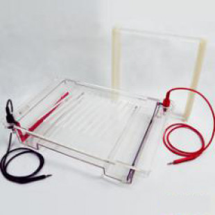 Agarose Level Electrophoresis Instrument (large), Buffer Volume: 800ml, Transparent And Convenient For Observation, 1.5 KG