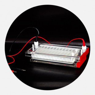 Electrophoresis Rapid Gel Apparatus  For PCR DNA Identification And Separation, Buffer Volume: 200ml, 0.5 KG