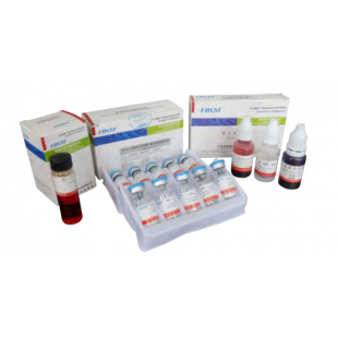 Oxidase Test Strip For Oxidase Test, 10pcs/box