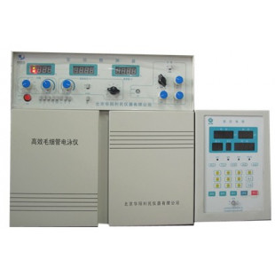 CL1010 High Performance Capillary Electrophoresis System  (Ampere Detector)  with CL101C Intelligent High Voltage Power Supply  (Positive and Negative Switchable Power Supply)