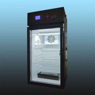 Intelligent Mold Incubator, Volume 80L, MJM-80 