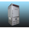 Artificial Climate Box (Side Light Source), Light Intensities 0-200 (15000) Light on both sides, Volume 160L, RXZ-160B 