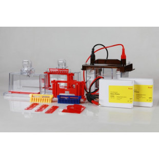 Vertical electrophoresis tank (double glue, mold, plastic thickness: 0.75 mm or 1.0 mm or 1.5 mm), VE-180, Tanon