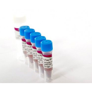 2 × GC-rich PCR MasterMix  (with loading dye), Premixed Solution for convenient PcR Setup, Quantity 0.5 ml, KT206-01