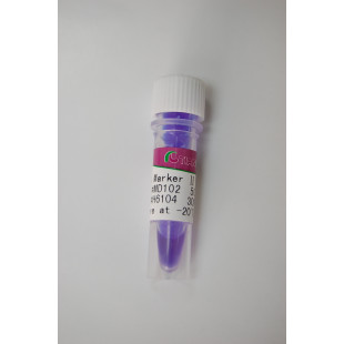 50 bp DNA Ladder, Quantity 200 lanes, MD108)-02