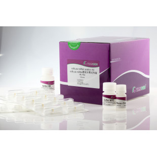 miRcute miRNA Isolation Kit (Fast Purification of 20-200 nt miRNA from variable Samples), Quantity 50 preps, DP501