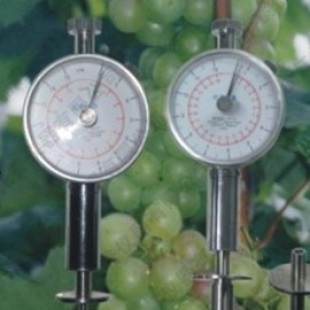 Fruit Hardness Tester, Probe size: Φ3.5mm, Accuracy: ±0.02, Indentation Depth:10mm, Dimensions: 140×60×30mm