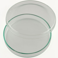 Petri Dish, 120 x 20 mm, Soda Glass, China (MOQ 10pcs/pack)