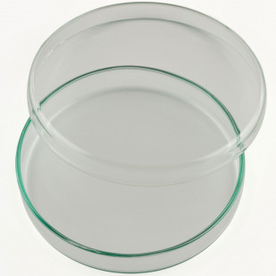 Petri Dish, 100 x 20 mm, Borosilicate Glass, China ( MOQ 20pcs/pack)